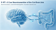 Beyond the 'Happy Molecule': 5-HT as a Core Neurotransmitter of the Gut-Brain Axis
