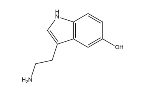 Beyond the ‘Happy Molecule’: 5-HT as a Core Neurotransmitter of the Gut-Brain Axis