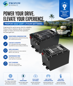 US Leading Golf Cart Battery Brands OEM Supply