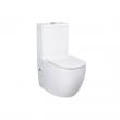 Kadelg's Export-Focused Two Piece Toilet Producer Role and the Trade-Offs of Format Choice in Overseas Sourcing