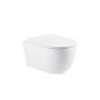 Flush-System Naming Across Markets Through the Lens of OEM Tornado Toilet Partner Kadelg