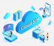 TGT Technology Global Shares Travel eSIM Guide for International Travel Brands