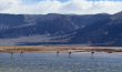Lilac IX Direct Lithium Extraction Technology Secures First Commercial Environmental Permit in South America