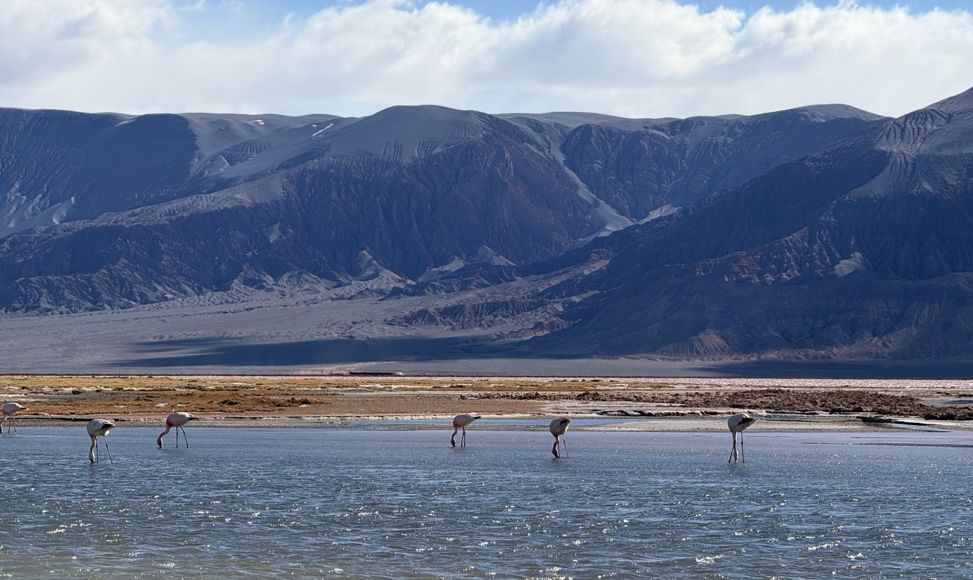 Lilac IX Direct Lithium Extraction Technology Secures First Commercial Environmental Permit in South America