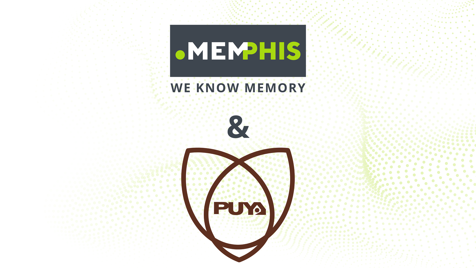 MEMPHIS Expands its Linecard with NOR Flash and EEPROM Solutions from Puya Semiconductor