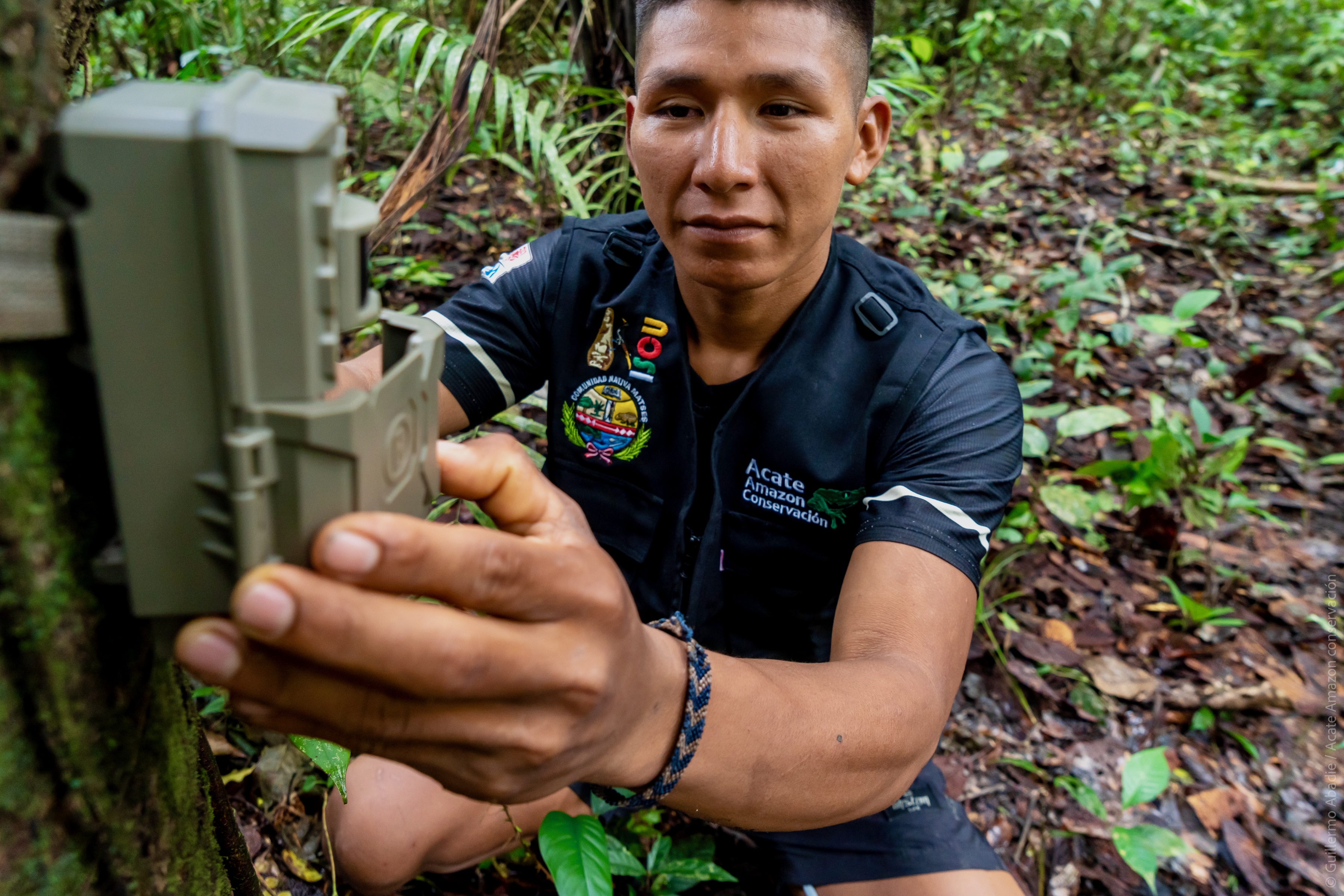 Integrated AI Tool Positions Biodiversity Monitoring in the Hands of Local Indigenous Rainforest Experts