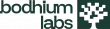 Bodhium Labs Raises $3.5M to Build the AI Simulation & Testing Layer for Modern Marketing Teams  