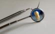 Mechanosensitive Ion Channels Regulate Tooth Development