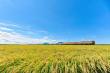 International Wetland City Niigata: A Rich Food, Sake and Hospitality Culture Shaped by Nature