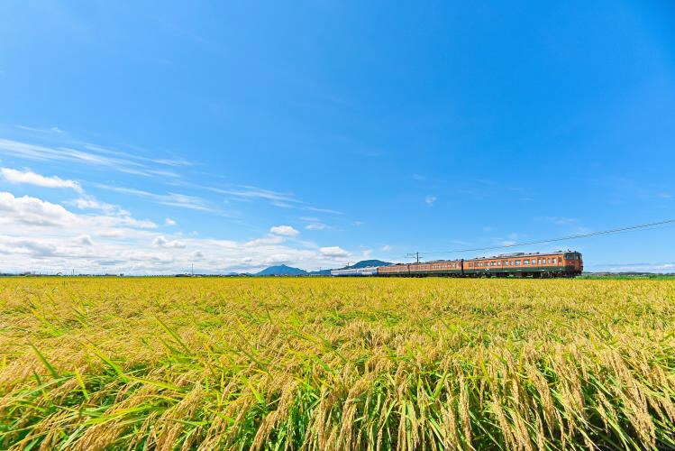 International Wetland City Niigata: A Rich Food, Sake and Hospitality Culture Shaped by Nature