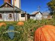 Discover the Surprisingly Haunted Side of 'Forgottonia' This Fall