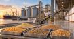 FeedMatch Group Introduces Buyer-First Platform for Global Animal Feed Procurement