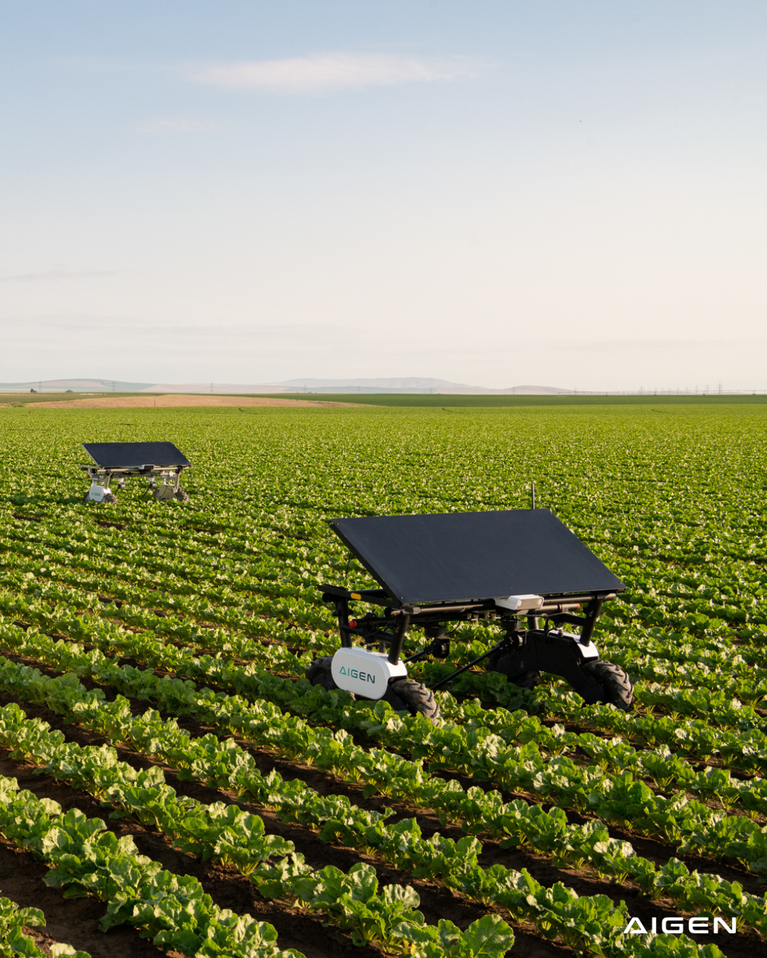 With Diesel Up 70%, Aigen’s Solar Robots Manage Crops With No Fuel or Herbicides