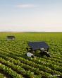 With Diesel Up 70%, Aigen's Solar Robots Manage Crops With No Fuel or Herbicides