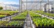 SeedMatch Group Officially Launches Solution-First Procurement Platform for Commercial Agriculture