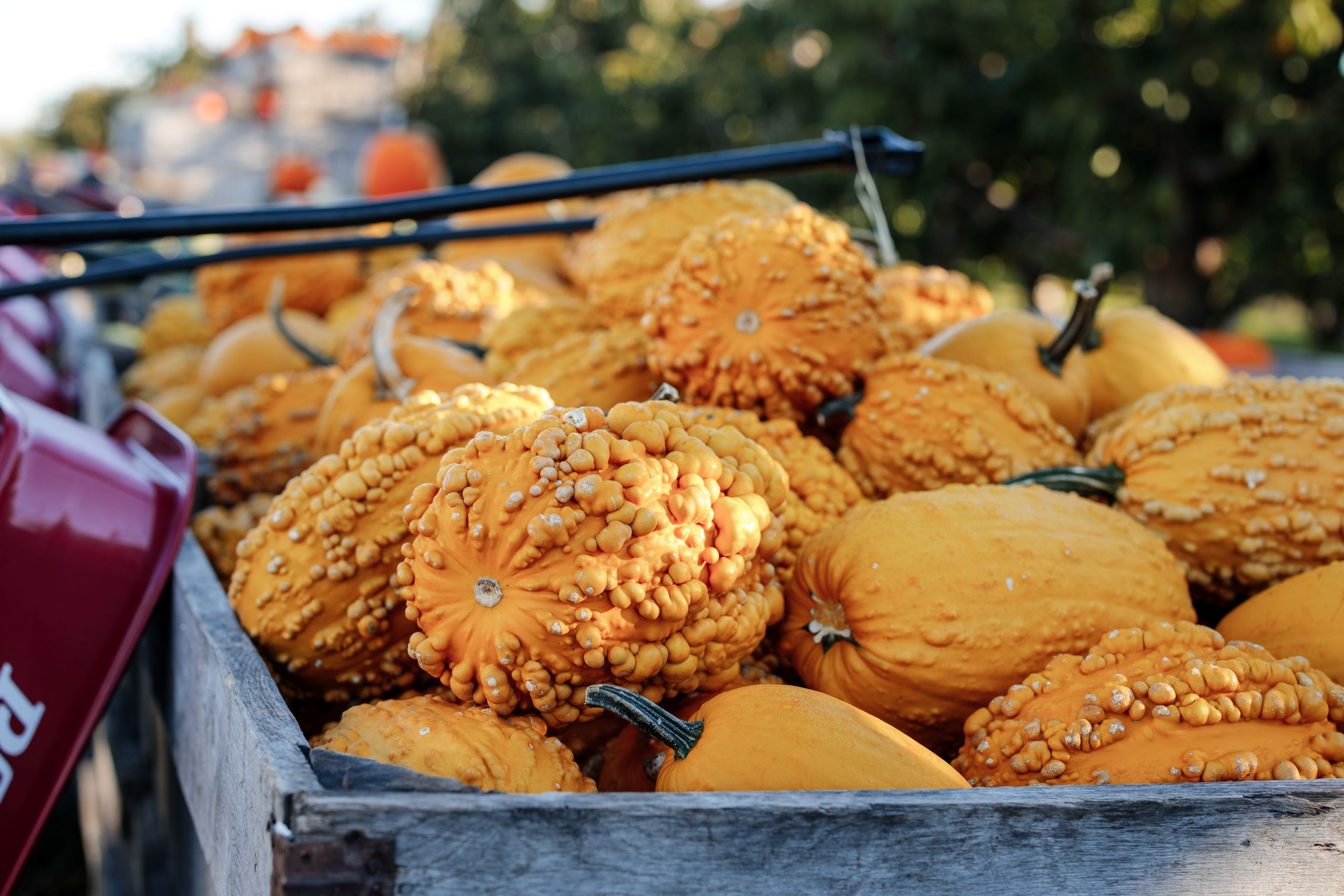 Farm Credit Mid-America Releases Second Edition of ‘Farm and Fun’ Agritourism Directory