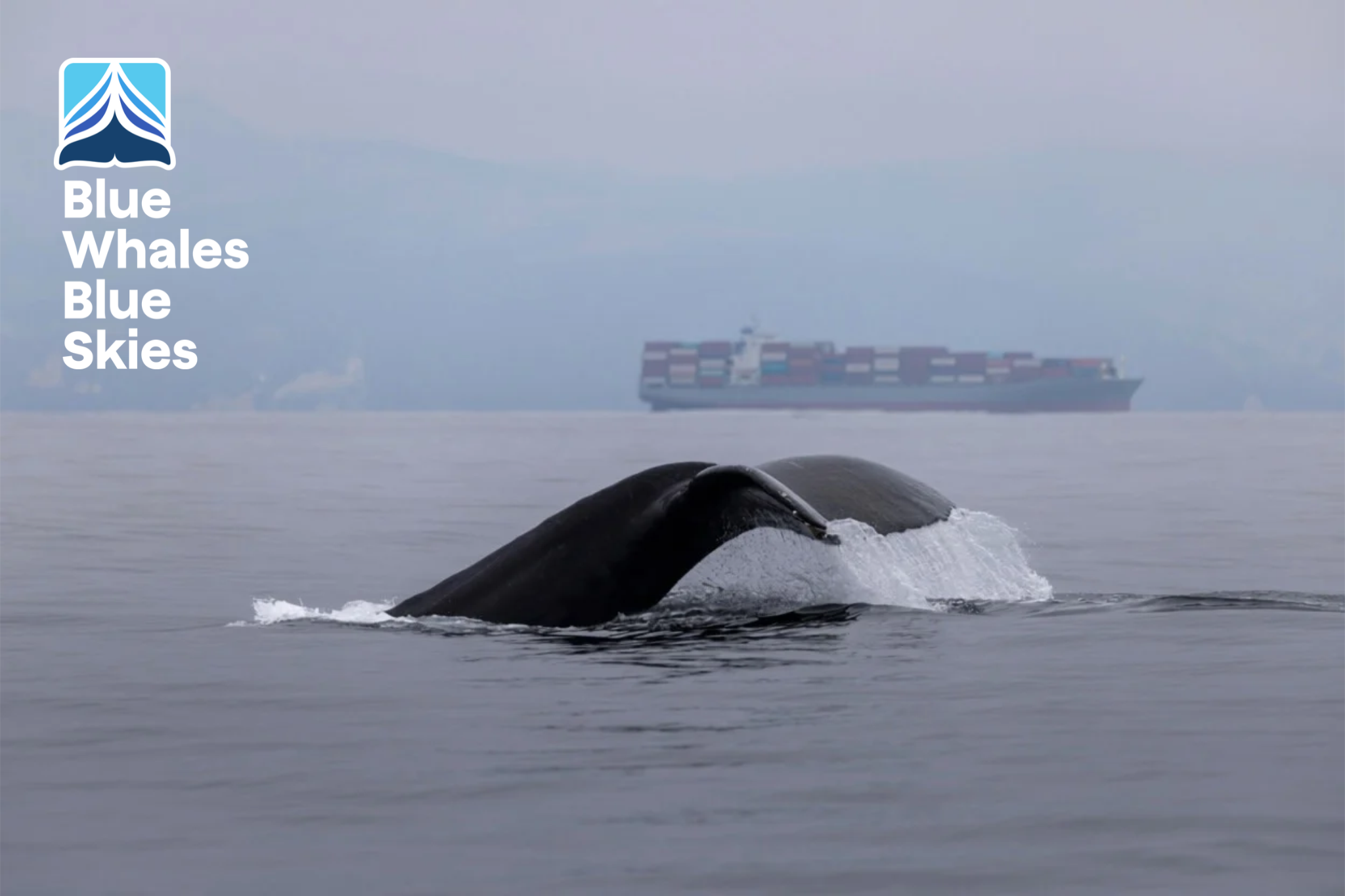 Cruise and Shipping Lines Onboard for Whale & Air Protection in the California Speed Reduction Zone