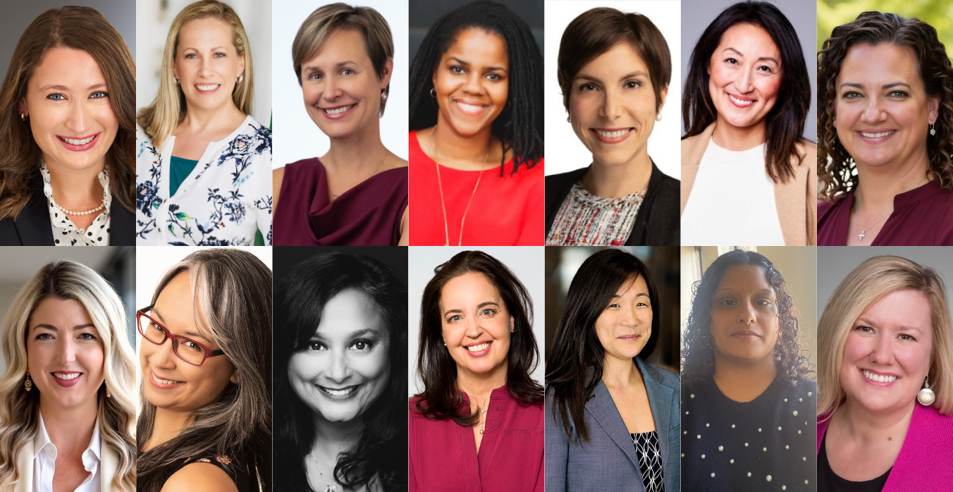 14 In-house Counsel Begin ChIPs General Counsel Boot Camp