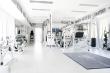 Peak Wellness Brings Elite-Level Sports Medicine and Physical Therapy Experience to Athletes in Greenwich, CT