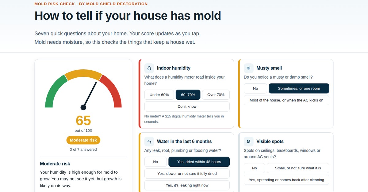 Mold Shield Restoration Launches Free Online Mold Risk Check for Homeowners