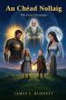 An Chéad Nollaig Links Celtic Myth and the Nativity Through Two Children’s Quest