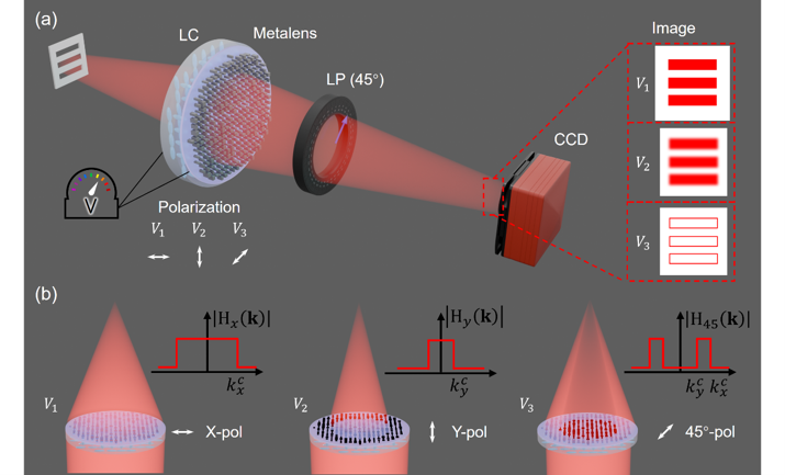 Switchable Bright-Field & Edge-Enhanced Imaging with a Polarization-Multiplexed Metalens