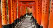 Kyoto Guides Share How to Beat the Autumn Temple Crowds