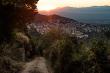  Bolotana, Sardinia Identified as a New Blue Zones Candidate