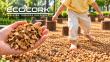 ECOART Landscape Expands the Use of Cork-Based Paving in Public Outdoor Spaces in Korea