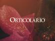 BETWEEN DREAMS AND ILLUSIONS AT ORTICOLARIO 2026: ANOTHER POSSIBLE WORLD 