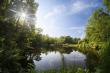 Southern Highlands Reserve and Nelson Byrd Woltz Partner to Steward a Vital Southern Appalachian Landscape