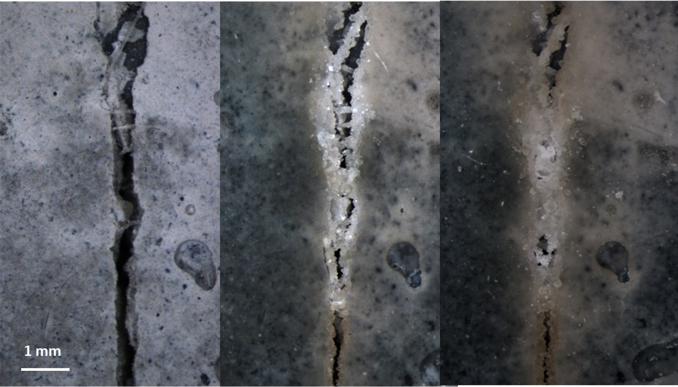 Restoration Partners Debuts Bio-Based Self-Healing Concrete at ConcreteWorks 2026