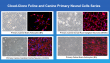 Kingdom of Companion Animal Primary Cells: How Cloud-Clone Reshapes the Global Landscape of Pet Health Research