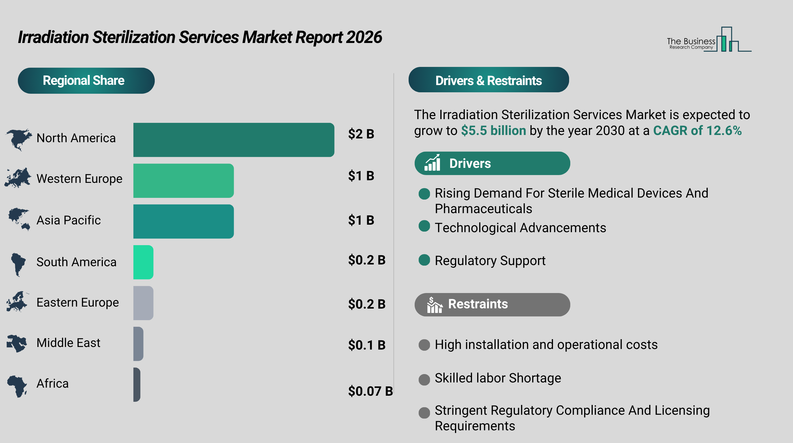Irradiation Sterilization Services Market to Expand at 13% CAGR Until 2030, Steris Holding 13% Market Share