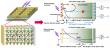 Perovskite photodetectors edge toward intelligent, adaptive optoelectronic systems
