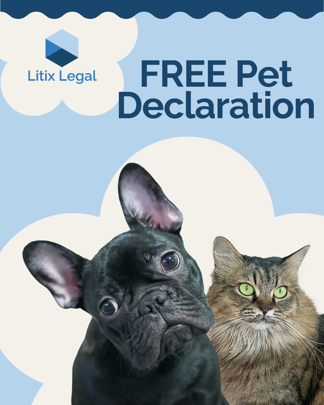 Litix Legal Launches New Pet Ownership Services to Help Arizona Pet Parents Protect Their Pets and Document Ownership