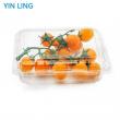 Top Plastic Containers Manufacturer Expands Customized Packaging Solutions for Global Markets