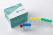 Top Host Cell Residual DNA Detection Kits Manufacturer Strengthens Biopharma Quality Control