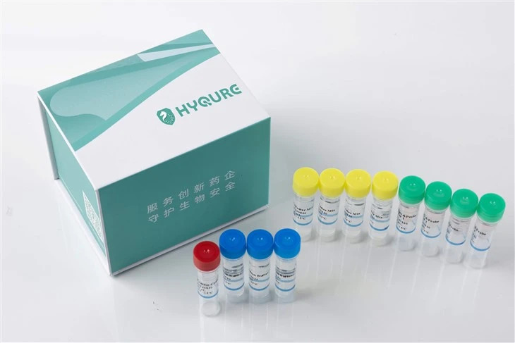 Top Host Cell Residual DNA Detection Kits Manufacturer Strengthens Biopharma Quality Control
