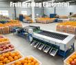 Top Fruit & Vegetable Processing Lines Manufacturer Expands Integrated Food Processing Solutions