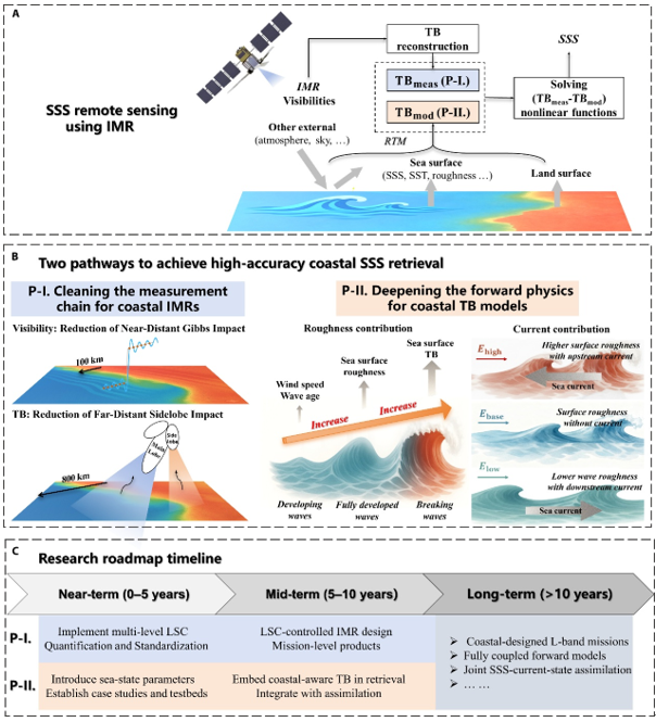 Dual-pathway framework sharpens coastal salinity monitoring