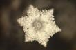 Emoto Lab Study Shows Tokyo Tap Water Forms More Complete Hexagonal Crystals After Passing Through the Aqua Energizer
