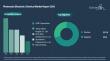 The Photoresist Electronic Chemical Market Shows Promising Growth Prospects with a Projected 6% CAGR