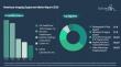 Veterinary Imaging Equipment Market Report Details Key Segments, Regional Developments, and Leading Competitors