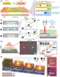 Laser-induced phase transitions in 2D materials: from microscopic mechanisms to device applications