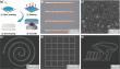 Ultrafast laser direct writing of highly conductive copper micropatterns