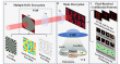 Multiple degrees-of-freedom optical encryption via pixel-resolved vectorial holography