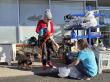 105 Pets Receive Free Veterinary Care at Carson City Wellness Clinic 