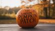 LONDON PUMPKIN PATCH TO STAY OPEN AFTER DARK FOR SAFER HALLOWEEN TRICK-OR-TREATING