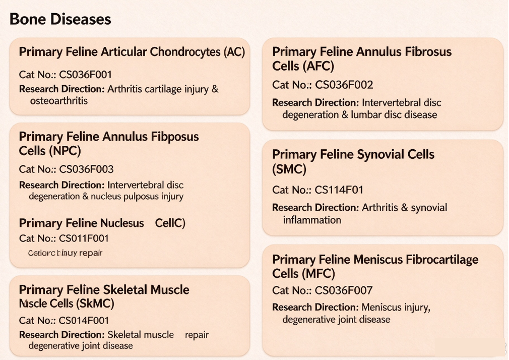 Cloud-Clone Primary Feline Cells: Categorised Portfolio for Full-Spectrum Veterinary Research